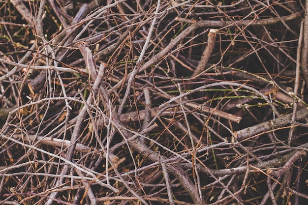 Beschaffenheit von trockene Niederlassungen, Naturhintergrund.