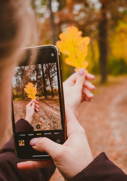 Beschnittene Hände mit Handy