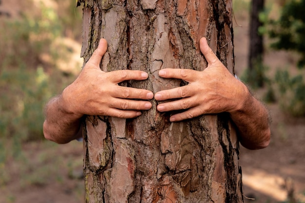 Beschnittene Hände umarmen einen Baum im Wald.