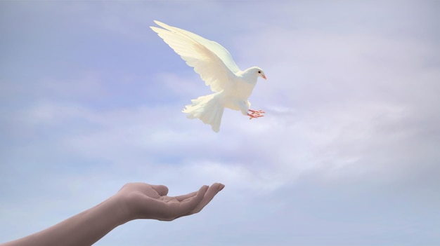 Beschnittene Hand mit weißer Taube gegen den Himmel