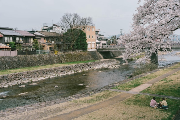 Foto besichtigung der kajibashi-brücke in der nähe des miyagawa-morgenmarktes in takayama, japan