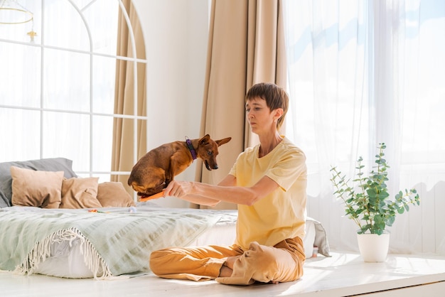 Besitzer, der zu Hause mit fröhlichem Hund spielt, glückliche, reife Frau, die Sport genießt