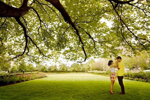 Foto un beso bajo el árbol verde