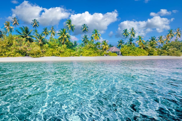 Beste tropische Strandlandschaft Fantastische Sommerküste Urlaubsziel Palmen weißen Sand