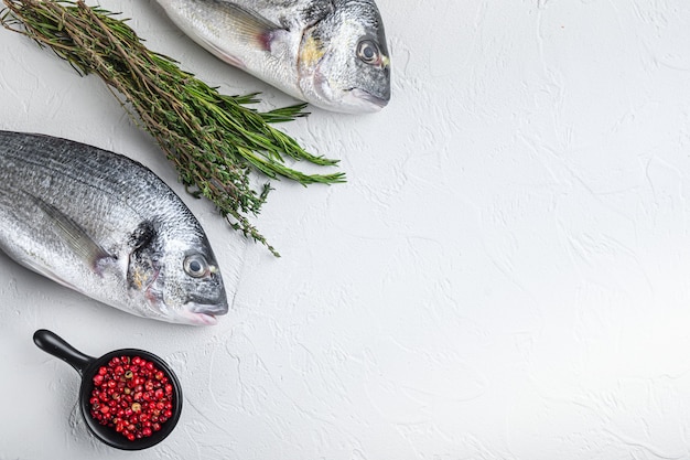 Besugo crudo o dorada pescado dorada con hierbas pimienta lima tomate para cocinar y parrilla sobre fondo blanco, vista superior con espacio para texto.