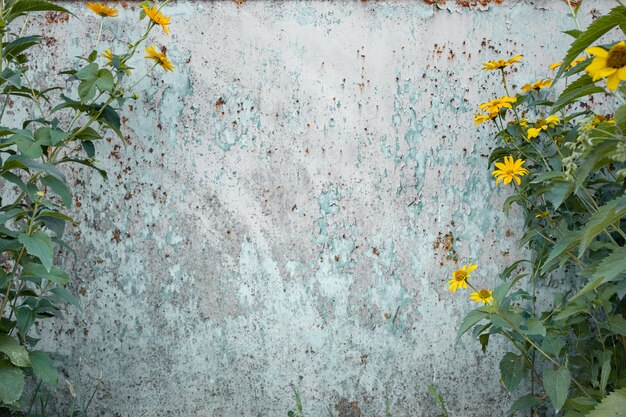 Beunruhigter grunge Hintergrund mit wilden Blumen auf den Seiten.