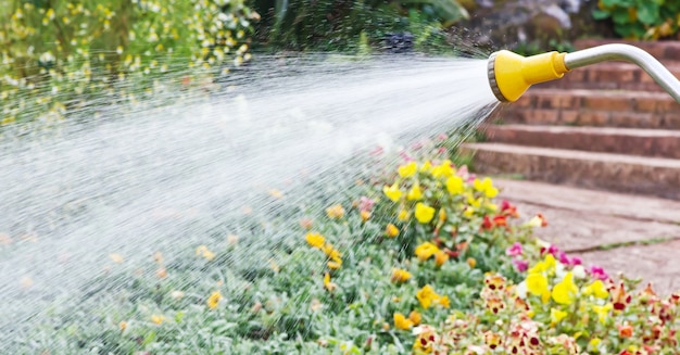 Bewässerung im Garten