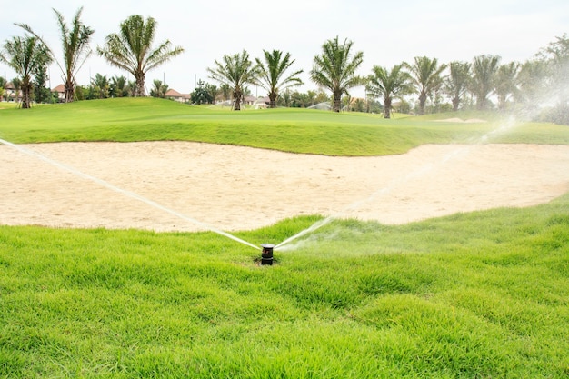 Bewässerung im Golfplatz