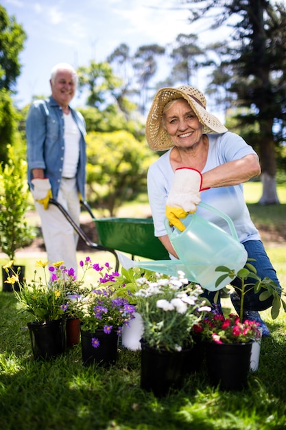 Bewässerungsblumenanlage der älteren Frau im Park