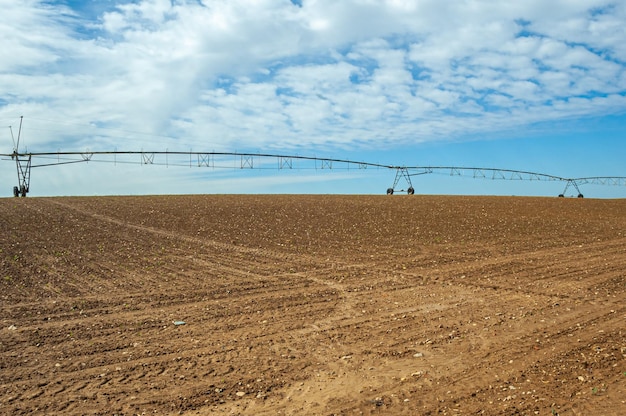 Bewässerungssprinkler in einem Getreidefeld