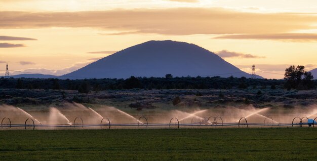 Bewässerungssprinkleranlage in einem Ackerland, das Wasser mit Berglandschaft im Hintergrund sprüht