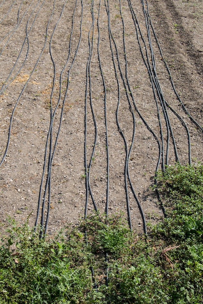 Bewässerungssystem mit Sprinklern in einem bebauten Feld