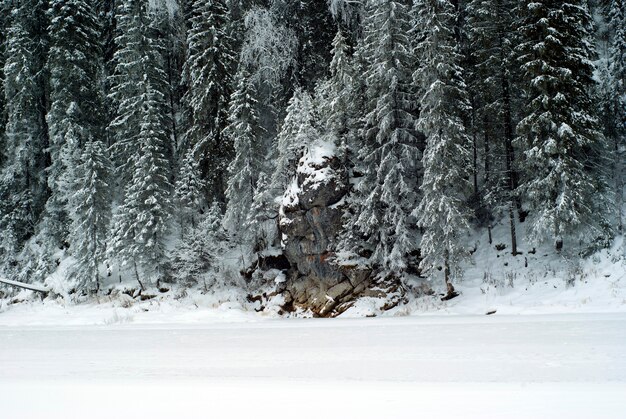 Bewaldete Kalksteinfelsen am Ufer eines gefrorenen Winterflusses bei bewölktem Wetter