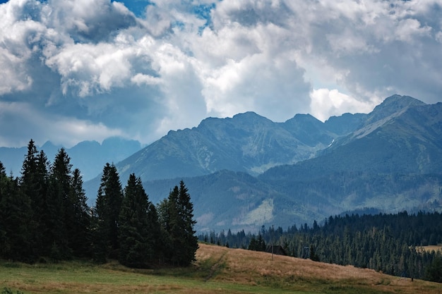 Bewaldeter Berghang in tief liegenden Wolken mit den immergrünen Nadelbäumen, die in Nebel gehüllt sind, in einer malerischen Landschaft mit Blick auf die Tatra-Berge Polen