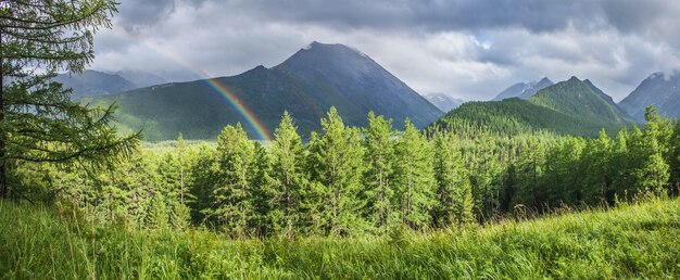 Bewaldetes Gebirgstal mit Regenbogen, Regenwetter