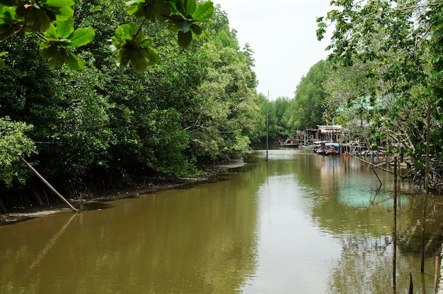 Bewegung des Wassers des Flusses in der Stadt Pak Nam Prasae in Rayong Thailand