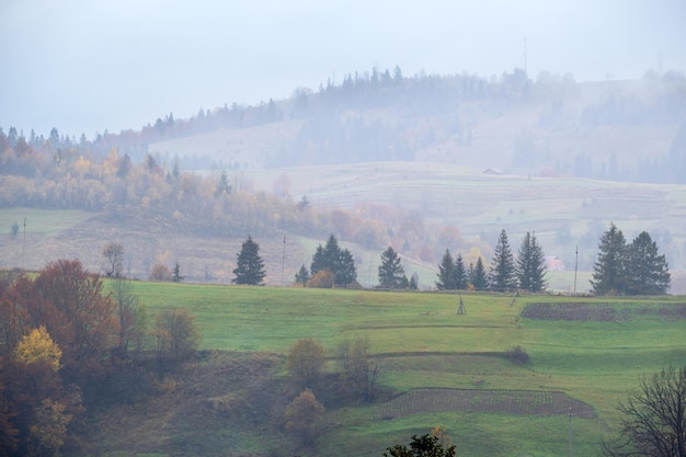 Bewölkt und neblig Herbst Berge Szene Ruhige malerische Reisen saisonale Natur und Landschaft Schönheitskonzept Szene Karpaten Ukraine