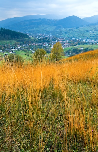 Bewölkte Herbstberglandschaft und hohes gelbes Gras vor (Trans-Karpaten, Ukraine).