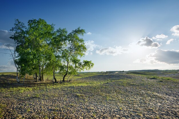 Bewölkter Himmel und Sonnenlicht über Sandwüste