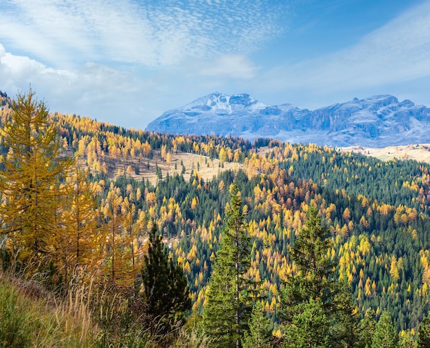 Bewölkter Morgen Herbst alpine Dolomiten Bergszene Ruhige Aussicht in der Nähe von Valparola Pass Belluno Italien