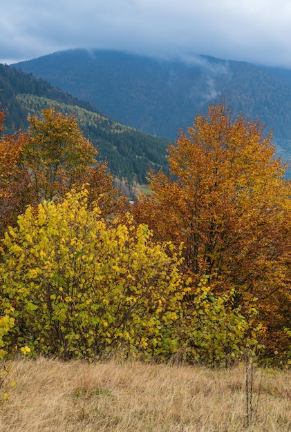 Bewölkter und nebliger Tag Herbstberge Szene Ruhige malerische reisende saisonale Natur- und Landschaftsschönheitskonzeptszene Karpaten Ukraine