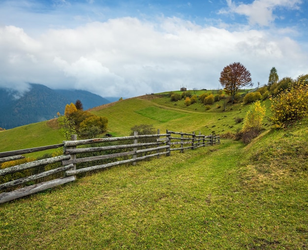 Bewölkter und nebliger Tag Herbstberge Szene Ruhige malerische reisende saisonale Natur- und Landschaftsschönheitskonzeptszene Karpaten Ukraine