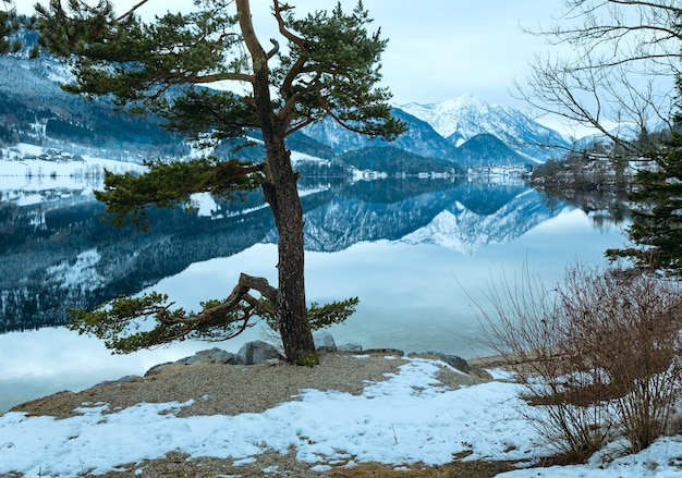 Bewölkter Winter Alpensee Grundlsee (Österreich) mit fantastischer Musterreflexion auf der Wasseroberfläche und Kiefer am Ufer.