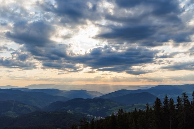 Bewölktes Wetter über mit Fichtenwäldern bedeckten Hügeln in den Rhodopen und Nebel zwischen Gebirgszügen