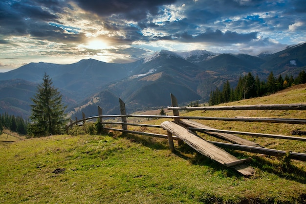 Bezaubernd schöne Sommerlandschaft einer grünen Wiese auf einem Hügel mit Blick auf einen dichten Wald