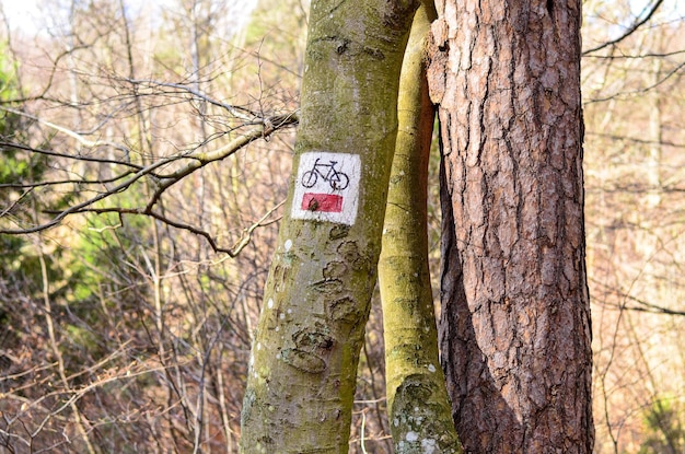 Bezeichnung eines Radwegs in einem Baum im Wald