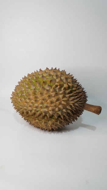 Bhineka Bawor es una variedad de durian originaria de Banyumas, Java Central, famosa por su dulzura.