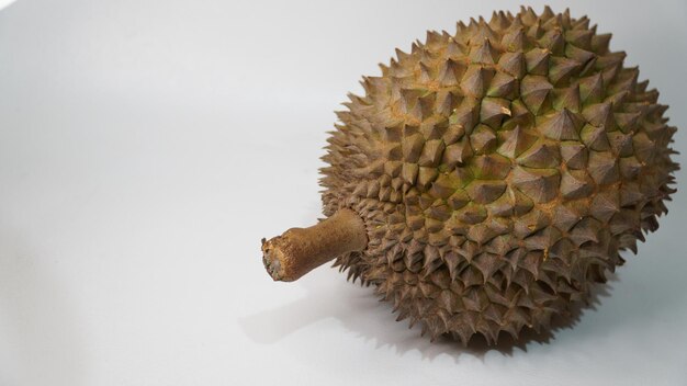 Bhineka Bawor es una variedad de durian originaria de Banyumas, Java Central, famosa por su dulzura.