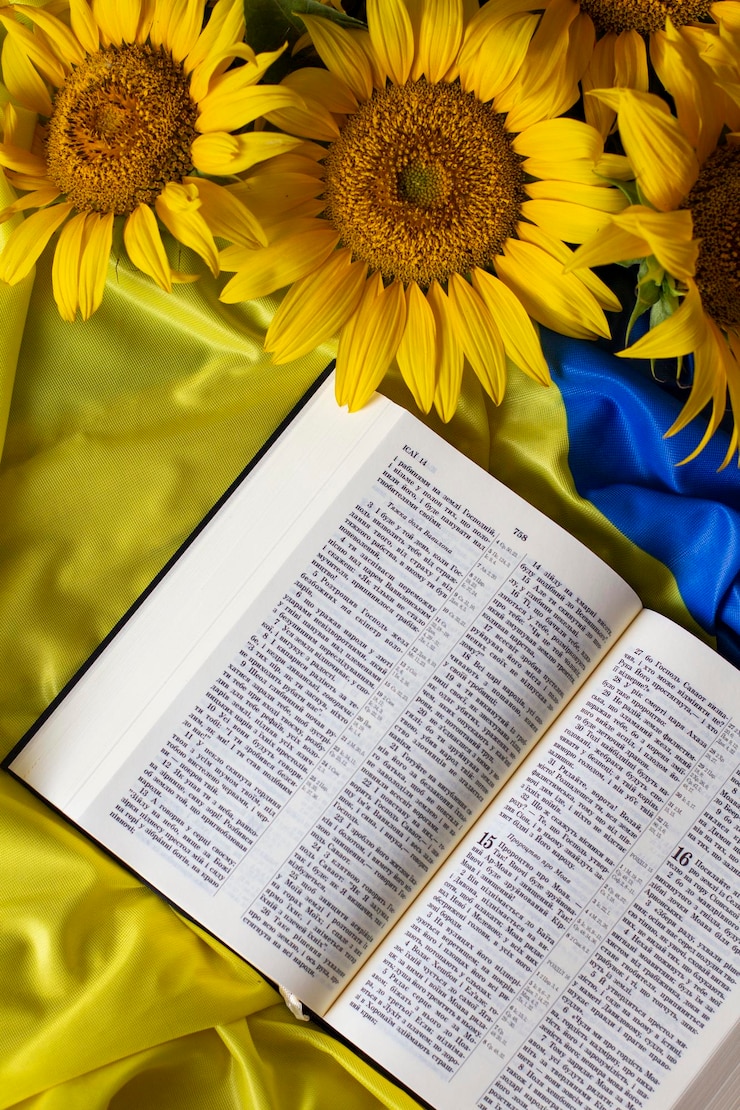 Biblia Sagrada Escritura y girasoles en el fondo de la bandera de Ucrania