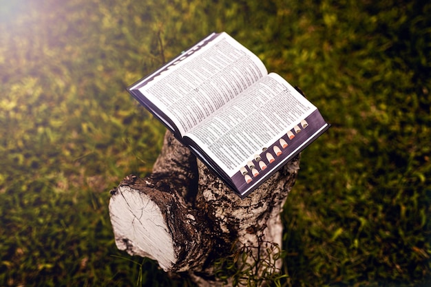 Bíblia sagrada no oratório de madeira rústica no meio da natureza conceito de fé estudo da bíblia e oração meditação símbolo da religião cristã páscoa ou fé