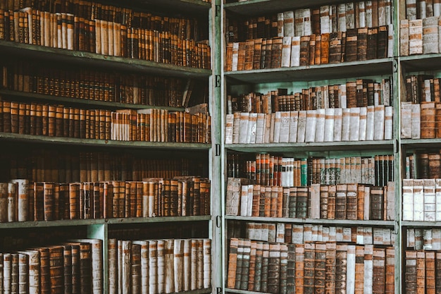 Biblioteca temperamental com livros antigos