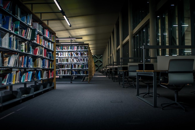 Biblioteca vacía