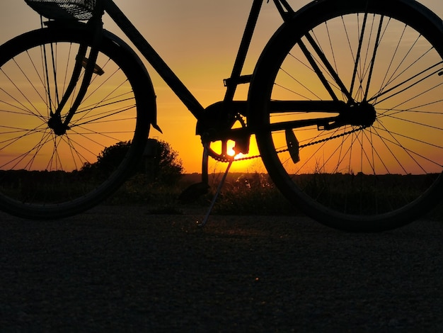 Bicicleta al atardecer. Contorno de una rueda de bicicleta al sol. Enfoque selectivo