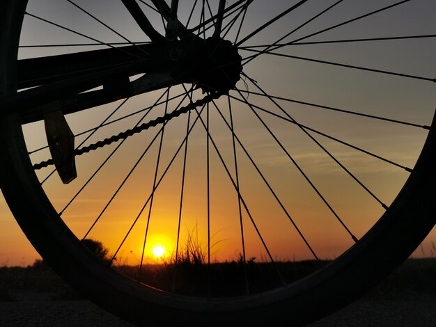 Bicicleta al atardecer. Contorno de una rueda de bicicleta al sol