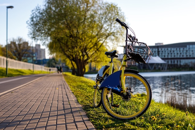 Bicicleta de alquiler amarilla en la ciudad. Puesta de sol cerca del estanque.