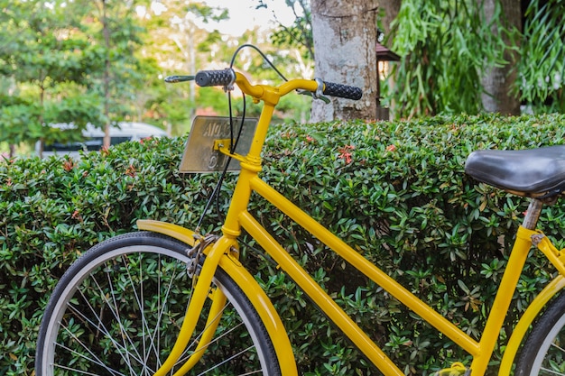 Bicicleta amarela