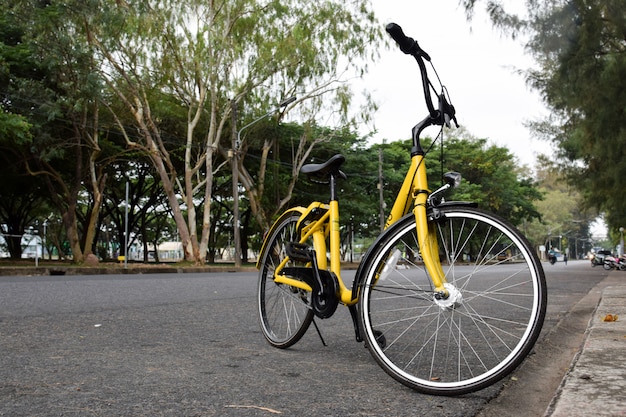 Bicicleta amarilla en el parque público.