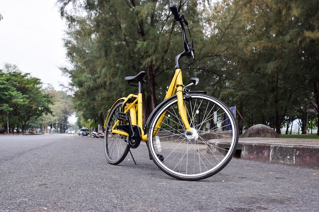 Bicicleta amarilla en el parque público.