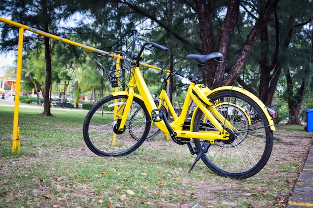 Bicicleta amarilla en el parque público.