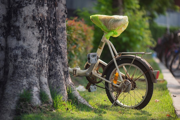 Bicicleta aparcada detrás del árbol.