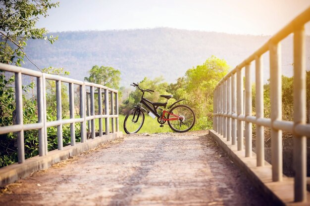 Foto bicicleta por barandilla contra los árboles