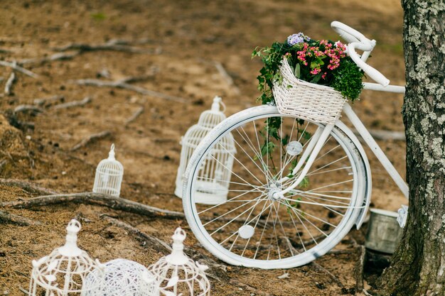 Bicicleta blanca y jaulas