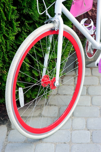 Bicicleta blanca y roja. Elegante bicicleta roja femenina. parado en un día soleado afuera. Buena pagoda para el ciclismo.