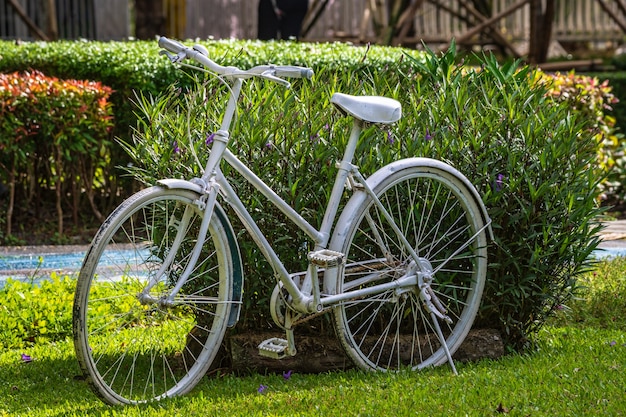 Bicicleta branca vintage retrô.