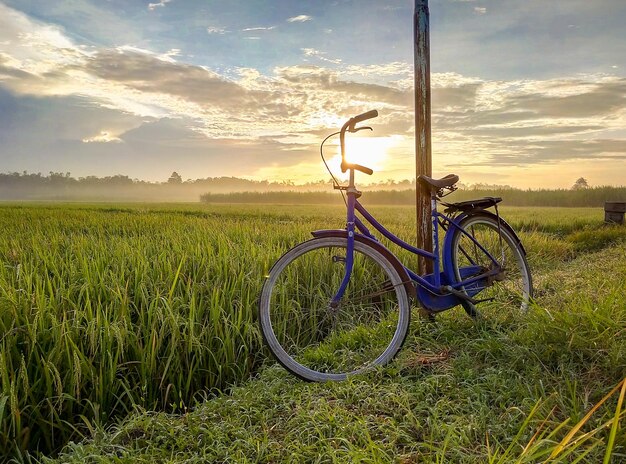 Foto bicicleta en el campo contra el cielo durante el amanecer