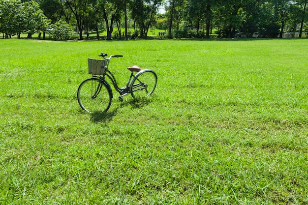 Bicicleta en el campo